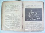 1919 р. "Українські Думи та пісні історичні"- Д.Ревуцький, фото №9