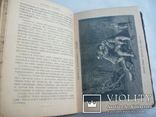 1893 г. Шекспир иллюстрирован - 10 томов, фото №10