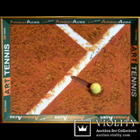 3D Янтарная Картина теннис с автографом Элины Свитолиной, фото №2