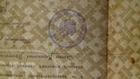 Аттестатъ 1914 года, фото №11