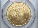 Мексика либертад 1981 г. PCGS MS67, фото №7