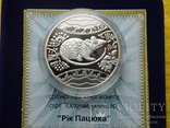 Рік пацюка 5 грн. 2008 рік , год крысы, фото №3