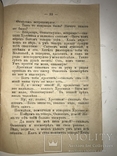 1898 Злая Невестка Старинная Житейская Книга, фото №3