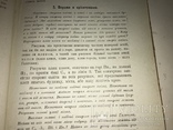 1919 География Українською Мовою Патріотична Книга, фото №8