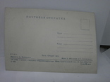 Открытка 1959 Крым Ялта. Общий вид, фото №3