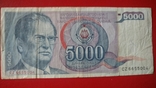 5000 динар Югославия, фото №2