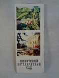 Никитский ботанический сад, 1986 г, фото №2