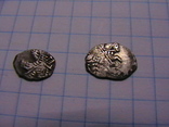 2 чешуйки серебро, фото №6