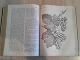 Посібник по сільському господарству  (книга перша 1946год), фото №10