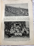Нива N16, 1905г хроника русско-японской, фото №4