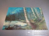 Объемная открытка стереофото Весенний лес, фото №2