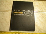 Бронхиальное дерево в норме и патологии., фото №2