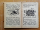 Учебник Зоология для 6-7 кл. на украинском 1950, фото №8