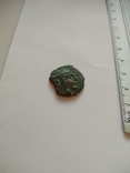 Монета Ольвии, фото №9