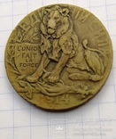 Медаль "В единении сила". Геройскому и благородному бельгийскому народу., фото №2
