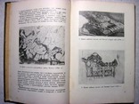 Шквариков Планировка городов России XVIII и начала XIX века Илл монография 1939, фото №6