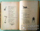 1903 Песнь о Гайавате. Лонгфелло Генри. Иллюстрированное издание для детей., фото №11