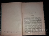 1903 Гомерова Ілїяда. Петро Байда(Ніщинський) (наклад 1000 прим.), фото №4