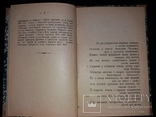 1903 Гомерова Ілїяда. Петро Байда(Ніщинський) (наклад 1000 прим.), фото №5