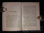 1903 [Заборонено царською цензурою]  Перша збірка Володимира Винниченка, фото №7