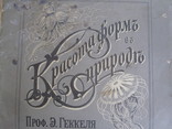 Э. Геккель Красота форм в природе ( обложка 28х37 см.  ), фото №3