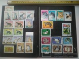 Подборка марок с кошачьими, фото №3