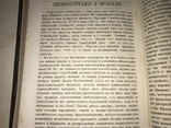 1873 История и Политике Год, фото №4