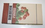 Коробка от конфет "Вишня заспиртованая в шоколаде", г. Кременчуг, 1995 г. - 14х27х3 см., photo number 2
