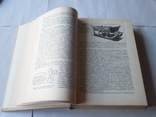 Історія Українського війська 1992р, фото №7