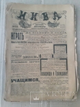 1917 г. Жертвы революции. Похороны 7ми казаков., фото №3