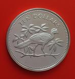 Белиз 10 долларов 1974 серебро 925 Птицы, фото №2