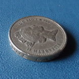 1 фунт 1989   Великобритания   (5.7.2)~, фото №3