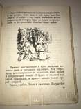 1938 Пограничники НКВД Детская Книга, фото №10