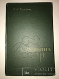 1960 Меха Шубы в СССР Для Внешней Торговли, фото №12