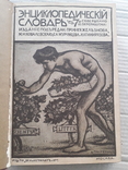 Энциклопедический словарь Граната. Том 7. ~1910 г., фото №4