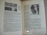 Велика історія України вид. Івана Тиктора - 1920 гг., фото №5