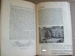 Велика історія України вид. Івана Тиктора - 1920 гг., фото №8