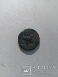 Монета херсонеса, фото №4