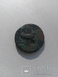 Монета херсонеса, фото №5