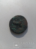 Монета херсонеса, фото №6