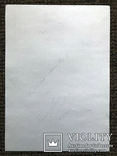 Рисунок карандашом. Графика. Веточка дикой груши (41х29см). Ю. Смаль, фото №11