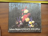 A. Bujak "Kwiaty Zalipia" 1988р., фото №3