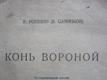 Борис Савинков. Конь вороной., фото №3