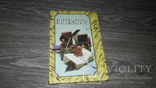 Русская литература 9 класс 2001 учебник, фото №2