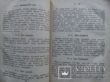 Кулинария, домоводство и домоустройство 1885г., фото №8