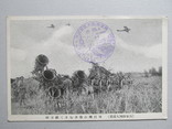 Япония, 1 мировая война, самолет штемпель, фото №4