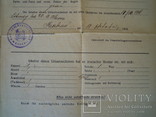 Документ 1918 року., фото №12