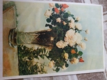 Розы. 1955р., фото №2