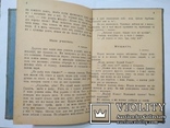 В. Шухевич "Записки школяра". За Амічісом (1906 рік), фото №4