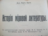 История древней литературы 1900 гг., фото №13